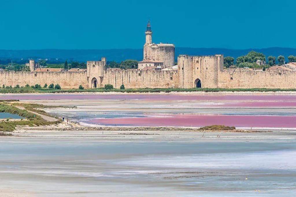 Maison A 800M Des Remparts เอก-มอร์ต ภายนอก รูปภาพ